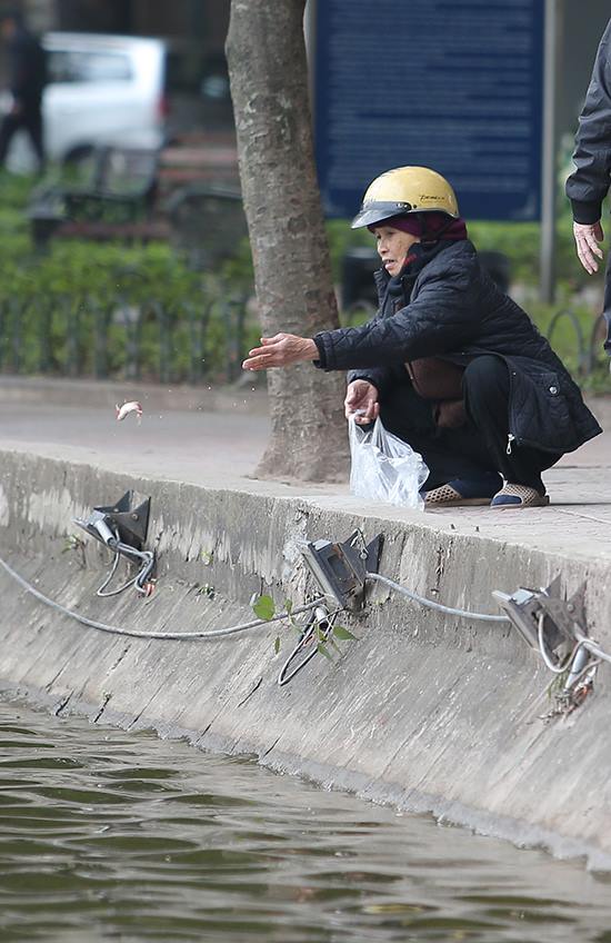 Tết ông Táo: Rét cắt da, em bé theo cha đi thả cá chép sáng sớm Tết ông Táo: Rét cắt da, em bé theo cha đi thả cá chép sáng sớm